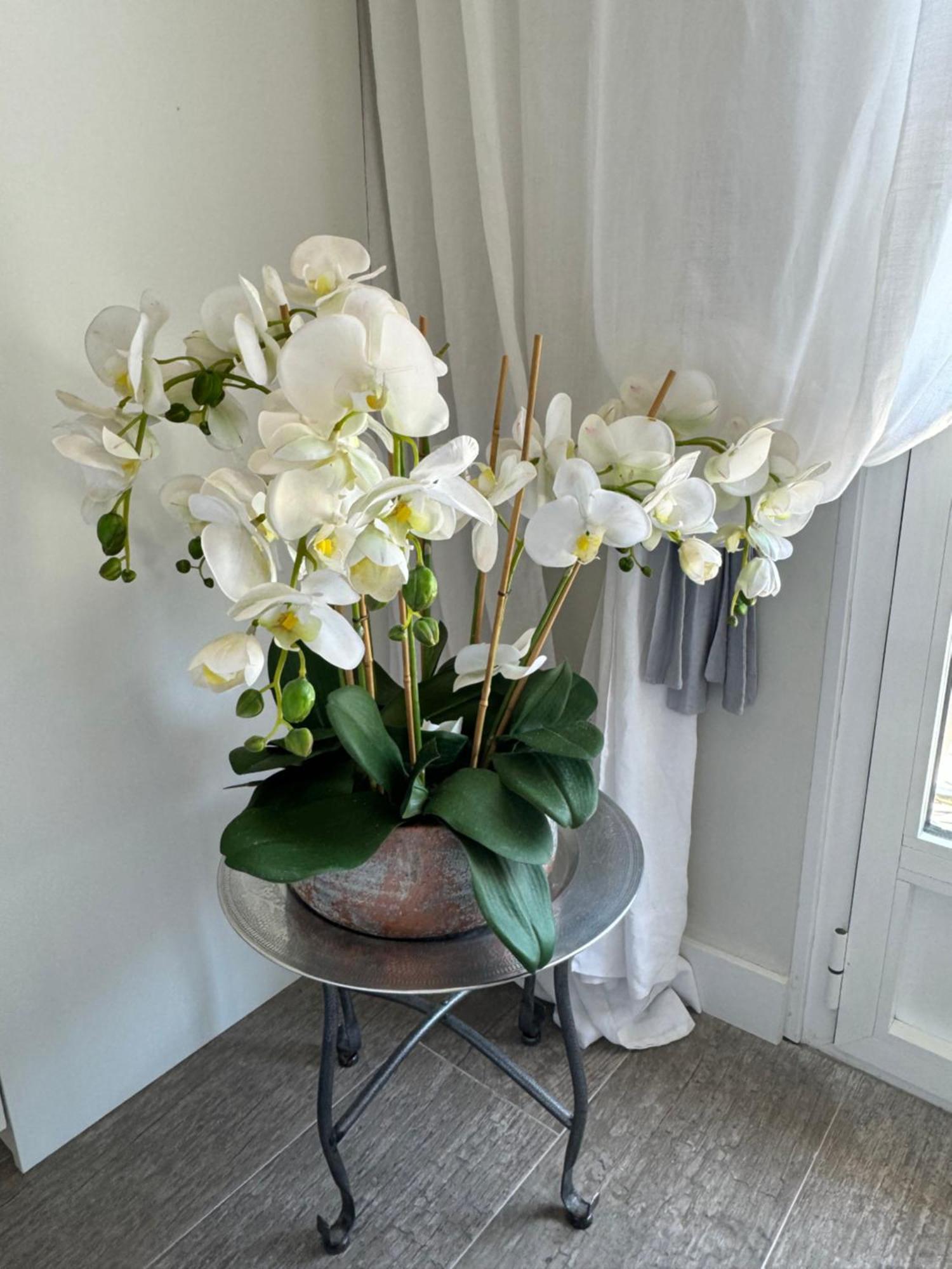 Flores *